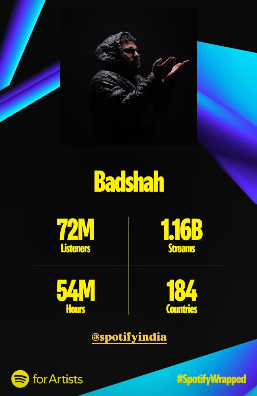 Badshah Spotify Wrapped 2024